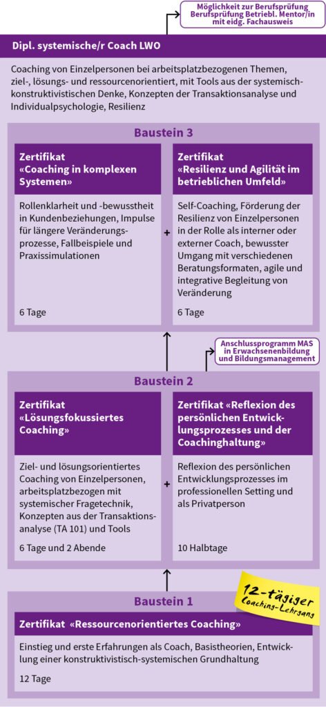 Aufbau «Dipl. systemischer Coach»