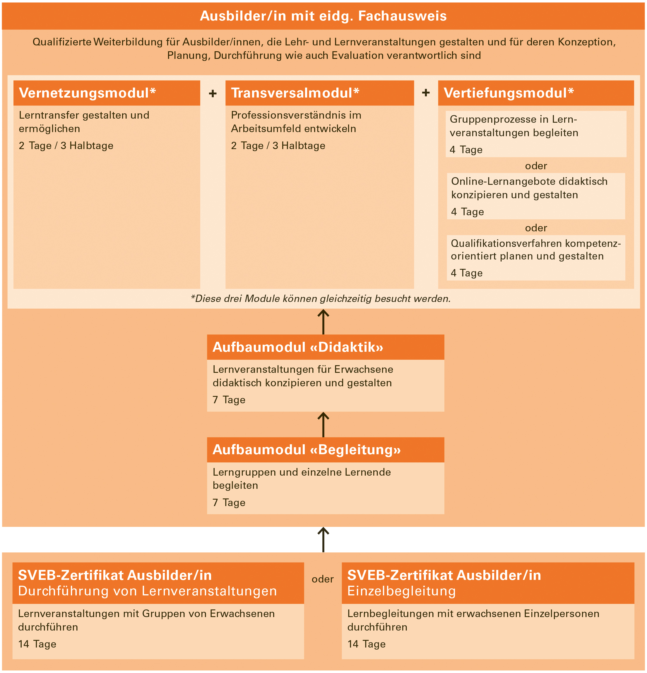 LWO_Grafik_AU_2026 Der AdA-Baukasten (Ausbildung der Ausbildenden): Das 14 Tage umfassende SVEB-Zertifikat Ausbilder/in bildet die Basis für eine Tätigkeit in der Erwachsenenbildung. Darauf aufbauend führen fünf weitere Module im Umfang von total 25 Tagen zum Abschluss «Ausbilder/in mit eidg. Fachausweis».
